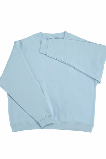 ARTI “Are We There Yet?” Crewneck — Baby Blue